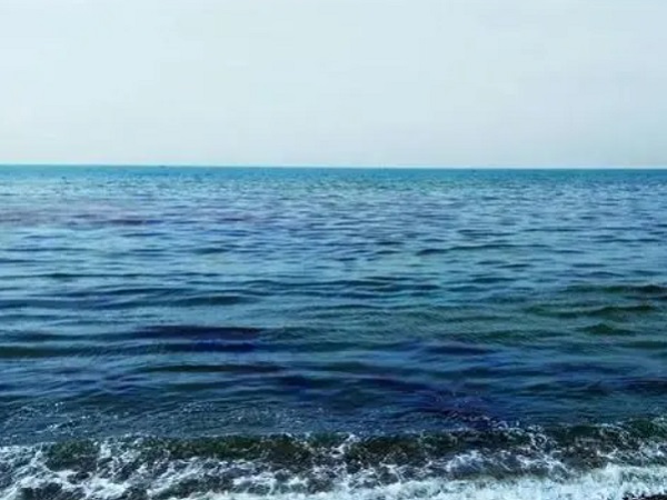 日本核廢水將排海-影響何以估量？